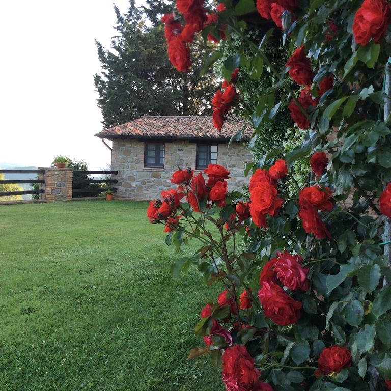 Agriturismo La Bicocca - Apt. "Il Leccio" Castel Rigone Pokoj fotografie