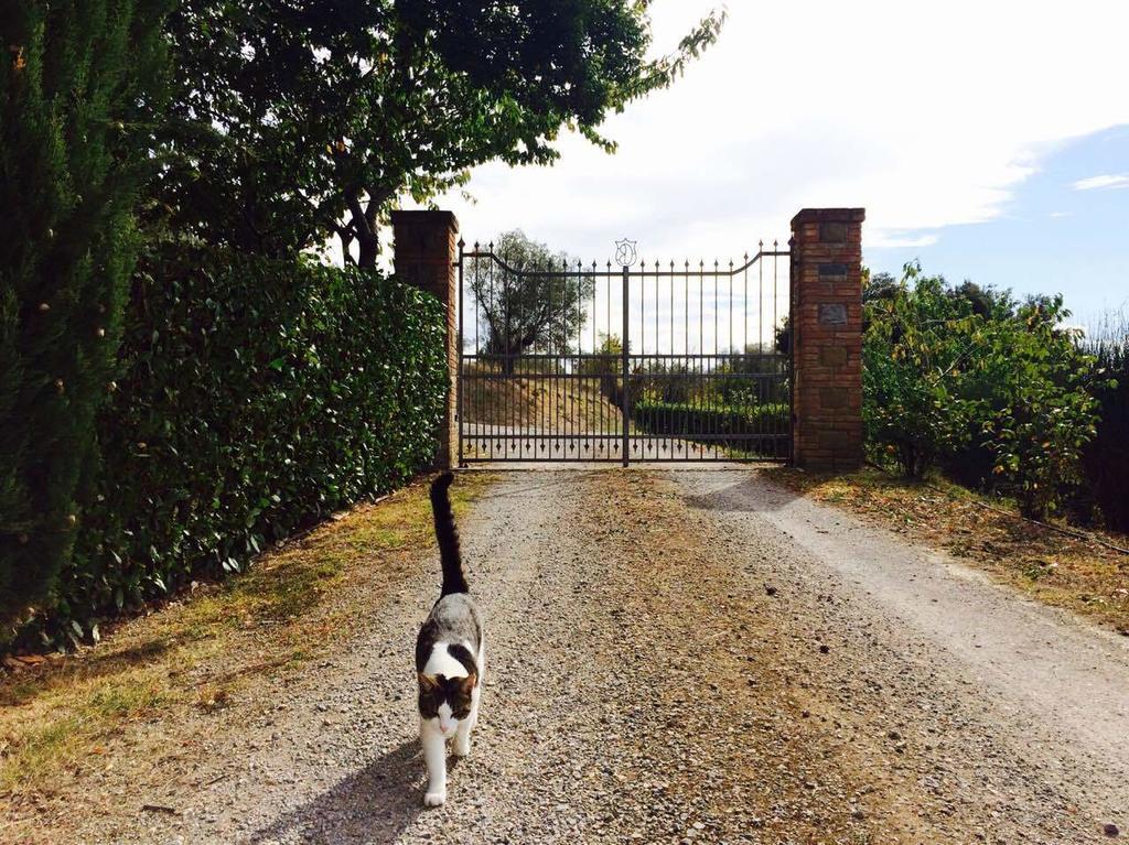 Agriturismo La Bicocca - Apt. "Il Leccio" Castel Rigone Pokoj fotografie
